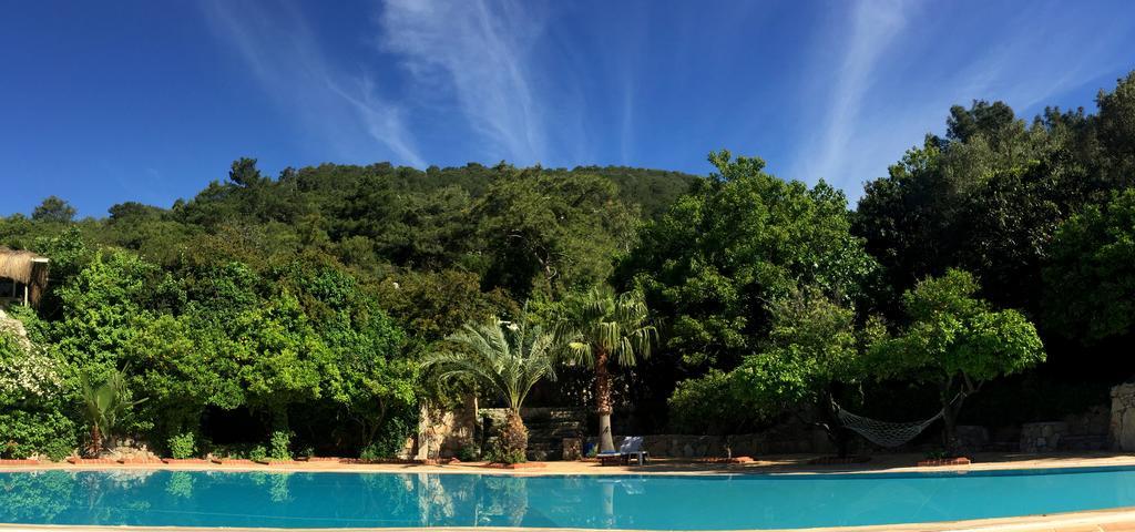 Paradise Garden Hotel Ölüdeniz Eksteriør billede