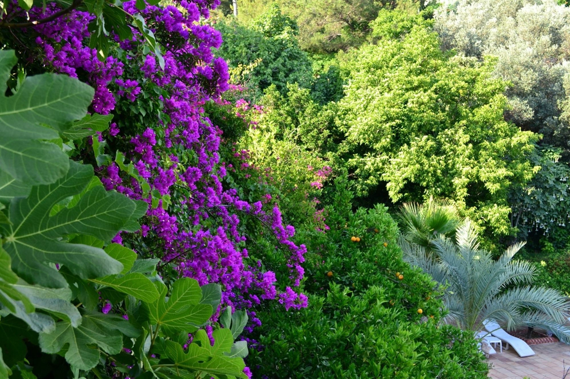 Paradise Garden Hotel Ölüdeniz Eksteriør billede