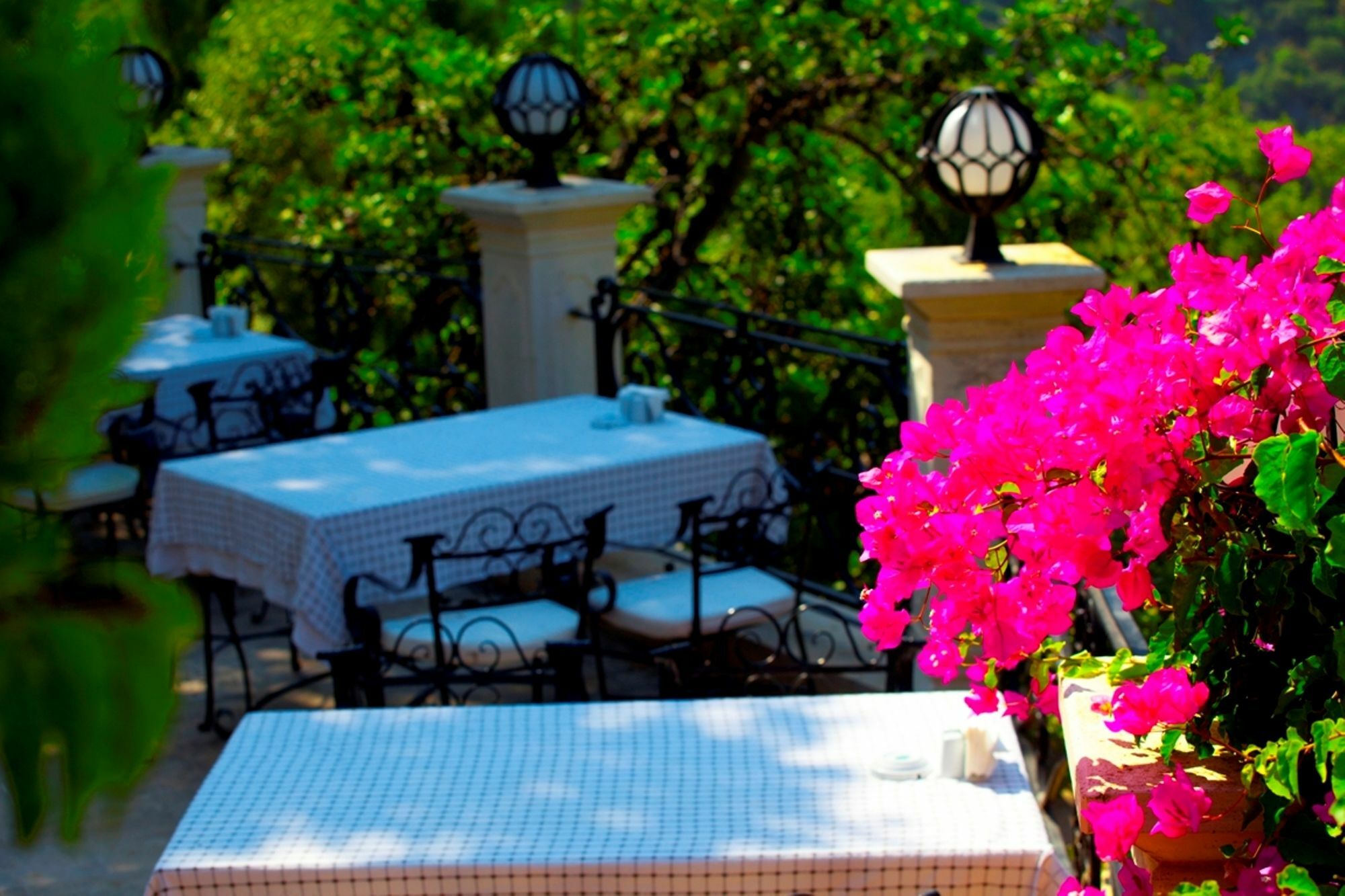 Paradise Garden Hotel Ölüdeniz Eksteriør billede